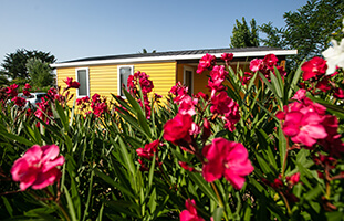 Mobilheimvermietung auf dem Campingplatz von Agde