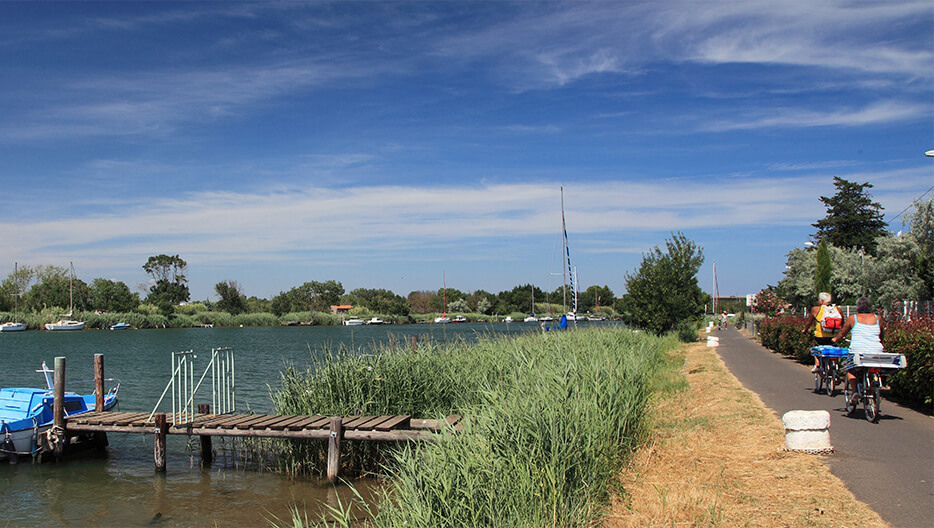 Cycle path next to the campsite by the Hérault in Agde