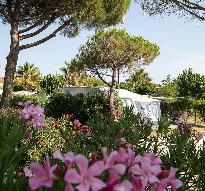 Campingplaatsen voor caravans op de 4-sterrencamping Le Neptune in de Hérault
